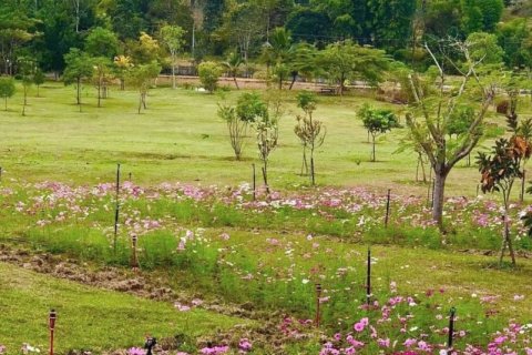Land en Chiang Mai, Thailand No. 98037 2
