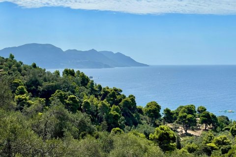 8000m² Land à Corfu, Greece No. 108511 18