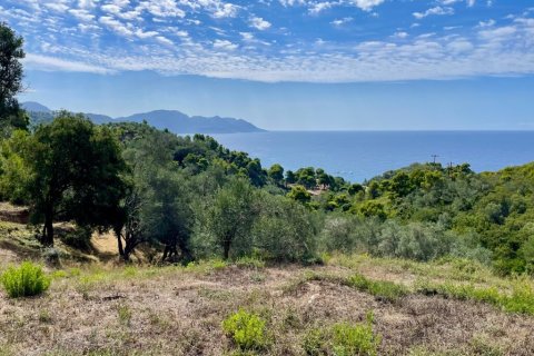 8000m² Land à Corfu, Greece No. 108511 1