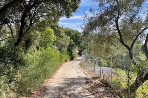 8000m² Land à Corfu, Greece No. 108511 16