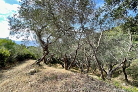 8000m² Land à Corfu, Greece No. 108511 29