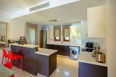 3 chambres House à Paphos, Cyprus No. 42646 7