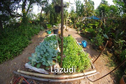 4 dormitorios House en Chiang Mai, Thailand No. 97964 5