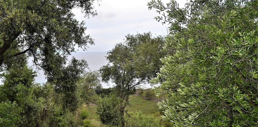 5000m² Land in Corfu, Greece No. 57371