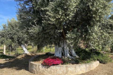 150m² House in Euboea, Greece No. 107388 19