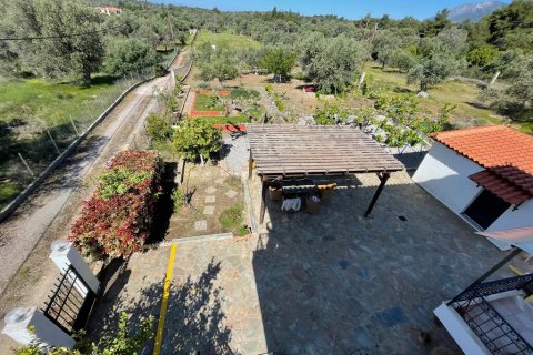 150m² House in Euboea, Greece No. 107388 22