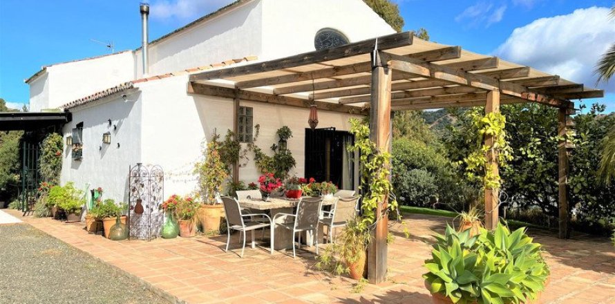 Недвижимость с 2 спальнями в Dinh An, Вьетнам №83971