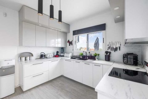 4 bedrooms House in Tala, Cyprus No. 76247 10