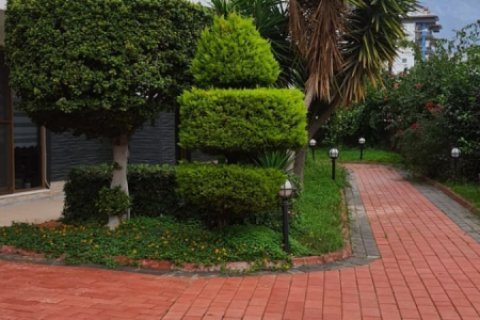 4 chambres Appartement à Phong Thanh Tay A, Vietnam No. 12995 11