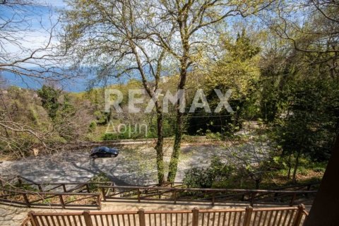 Дом с 4 спальнями в Муреси, Греция №28005 23