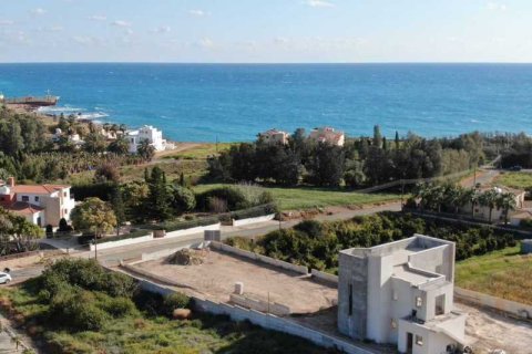 5 bedrooms House in Pegeia, Cyprus No. 31066 3