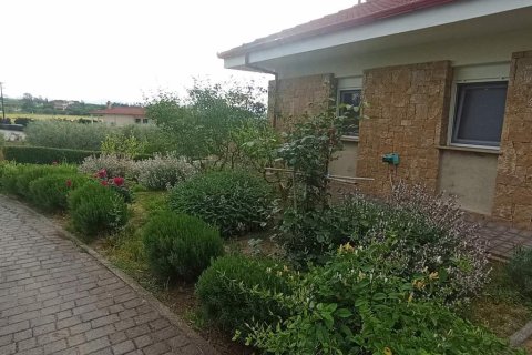 Дом с 6 спальнями в Термаикос, Греция №107846 8