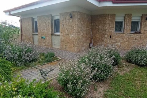 Дом с 6 спальнями в Термаикос, Греция №107846 29