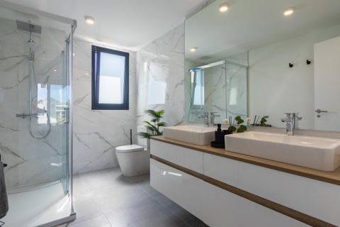 3 bedrooms Penthouse in Dinh An, Vietnam No. 27408 3