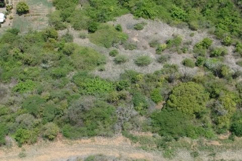 2833m² Land in Piccadilly, Antigua and Barbuda No. 64959 3