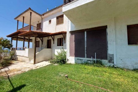 Мезонет с 3 спальнями в Халкидики, Греция №107537 19