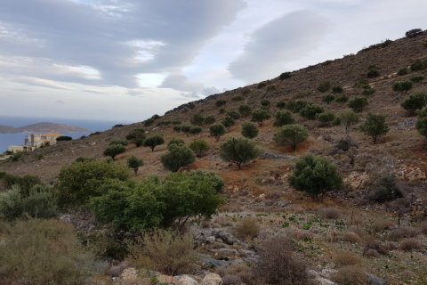 8700m² Land en Lasithi, Greece No. 57778 4