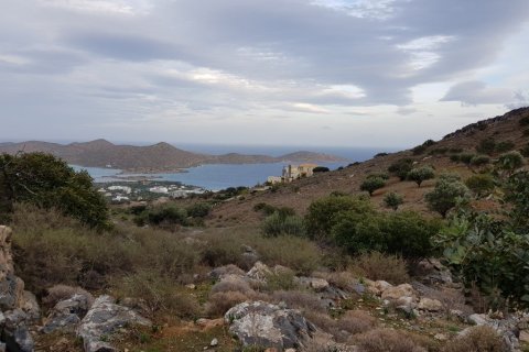 8700m² Land en Lasithi, Greece No. 57778 2