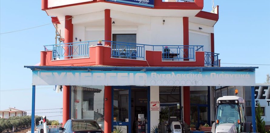 1 chambre Affaires à Chalkidiki, Greece No. 60057