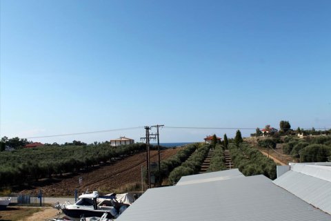 1 chambre Affaires à Chalkidiki, Greece No. 60057 17