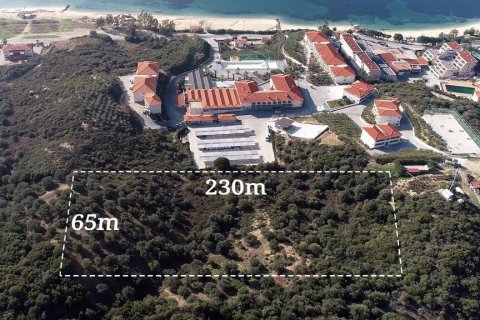12991m² Land in Chalkidiki, Greece No. 107781 2