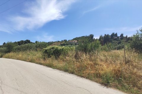 20000m² Land à Chalkidiki, Greece No. 56555 4