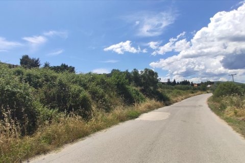 20000m² Land à Chalkidiki, Greece No. 56555 3