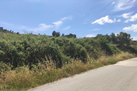 20000m² Land à Chalkidiki, Greece No. 56555 2