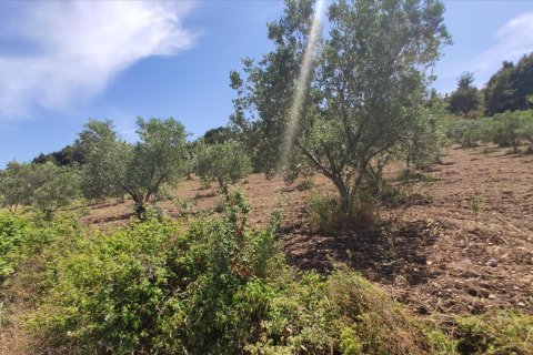 20000m² Land à Chalkidiki, Greece No. 56555 9