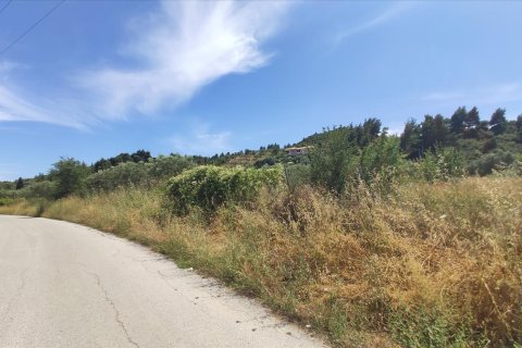 20000m² Land à Chalkidiki, Greece No. 56555 7