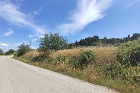 20000m² Land à Chalkidiki, Greece No. 56555 1