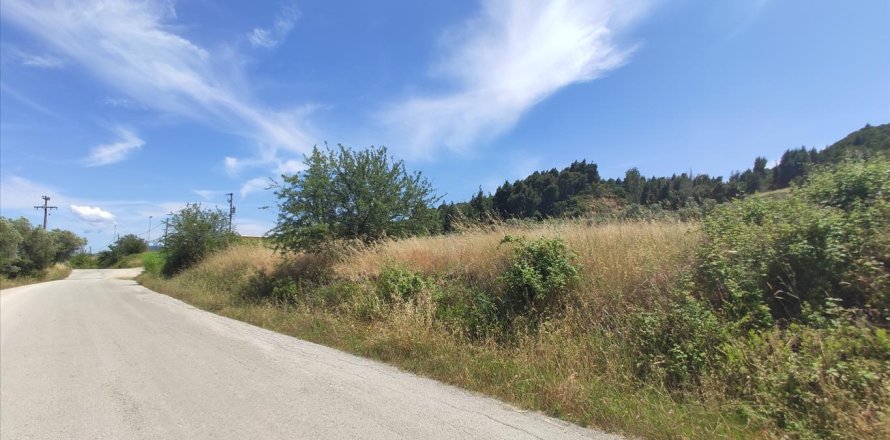 20000m² Land à Chalkidiki, Greece No. 56555