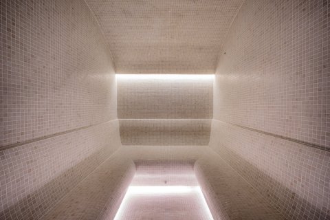 5 chambres Villa à Tan Xuan, Vietnam No. 27326 12