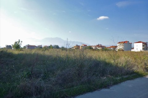 3950m² Land in Katerini, Greece No. 60064 1