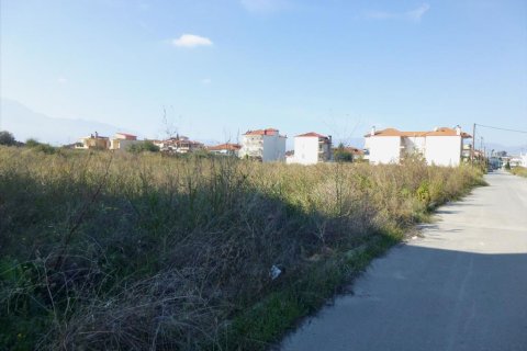 3950m² Land in Katerini, Greece No. 60064 2