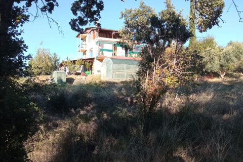 240m² House in Thessaloniki, Greece No. 112954 2