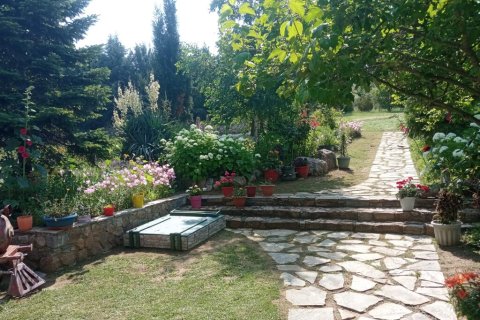 240m² House in Thessaloniki, Greece No. 112954 11