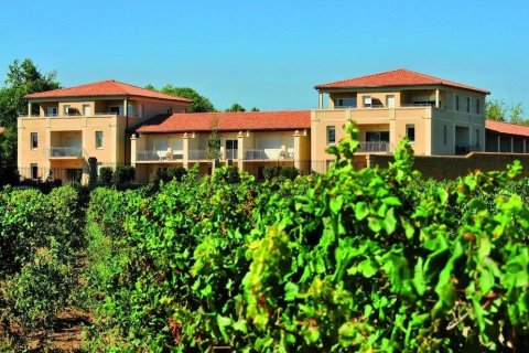 3 bedrooms Apartment in Azille, France No. 69468 3