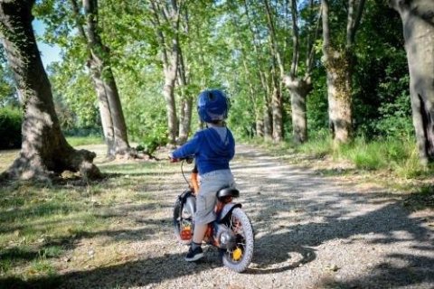 3 bedrooms Apartment in Azille, France No. 69468 18