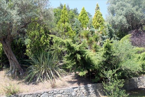 3 bedrooms Villa in Chalkidiki, Greece No. 108914 21