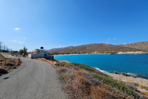 5159m² Land à Ierapetra, Greece No. 55076 4
