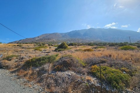 5159m² Land à Ierapetra, Greece No. 55076 7