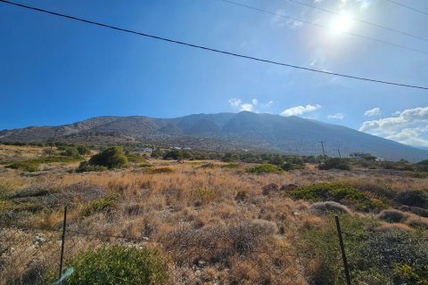 5159m² Land à Ierapetra, Greece No. 55076 8