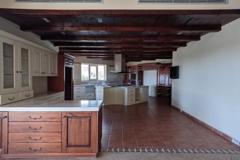 4 chambres House à Paphos, Cyprus No. 75906 12