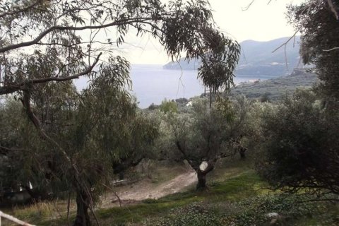 Land in Zakynthos, Greece No. 24530 13