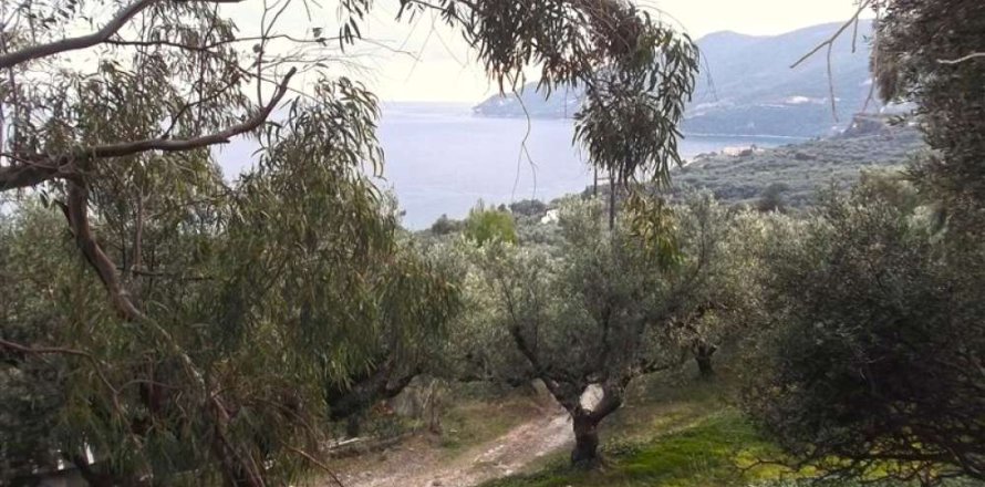 Land in Zakynthos, Greece No. 24530