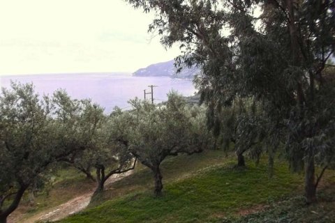 Land in Zakynthos, Greece No. 24530 3