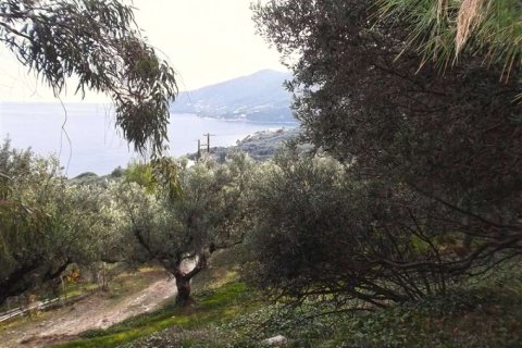 Land in Zakynthos, Greece No. 24530 9