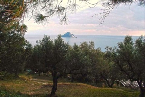 Land in Zakynthos, Greece No. 24530 11