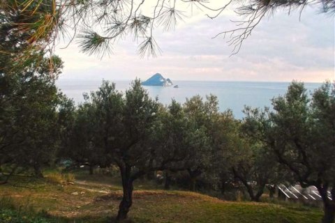 Land in Zakynthos, Greece No. 24530 6